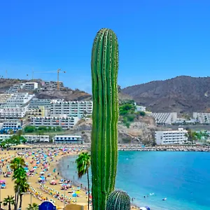 Punta Del Rey (adults Only) Hotel